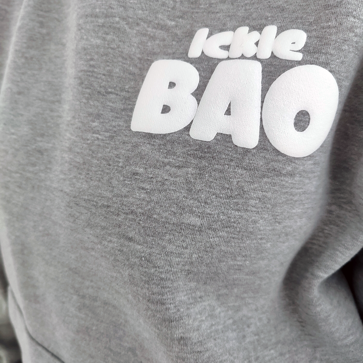 Ickle Bao est. 2023 Oversized Heavyweight Hoody