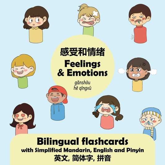 Feelings & Emotions - Mandarin/Pinyin Toddler Flashcards